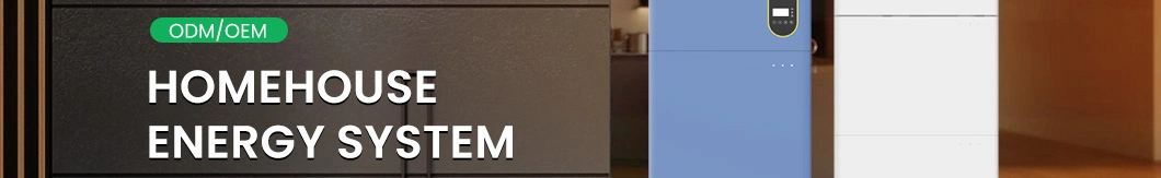 Green Storage Home Electricity Storage Manufacturing Residential Solar Battery Storage China Lithium Ess All in One