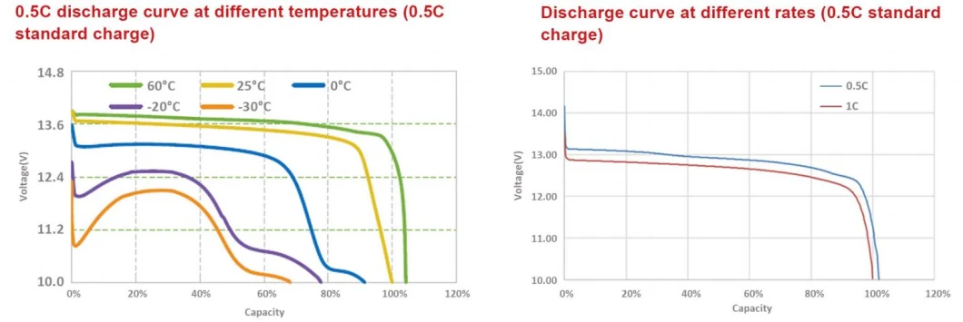 LiFePO4 12V 100ah BMS Bank Lithium Solar Battery