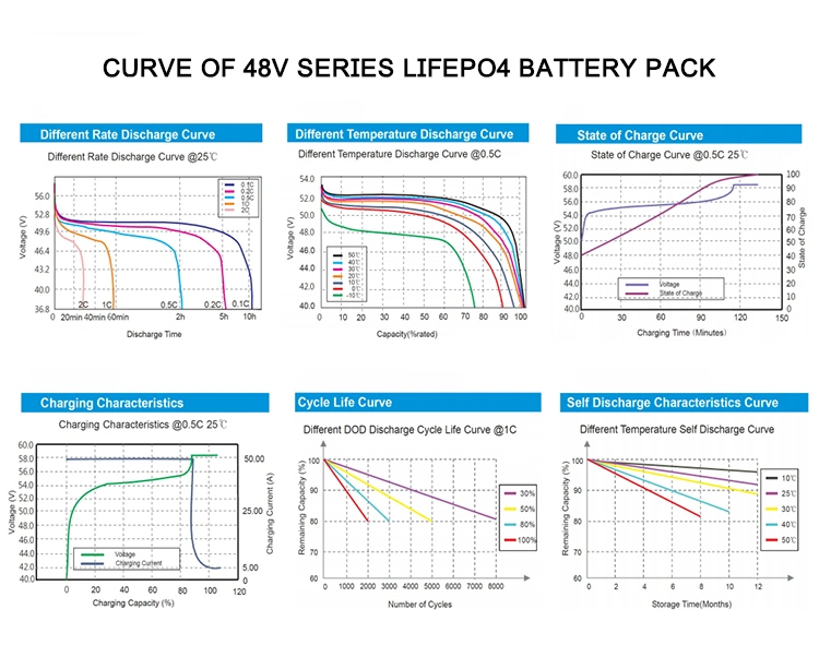 Battery Supplier Hot Selling Best Quality Lithium Iron Phosphate Battery 48V/51.2V 60ah LiFePO4 Battery for Solar System with PCB