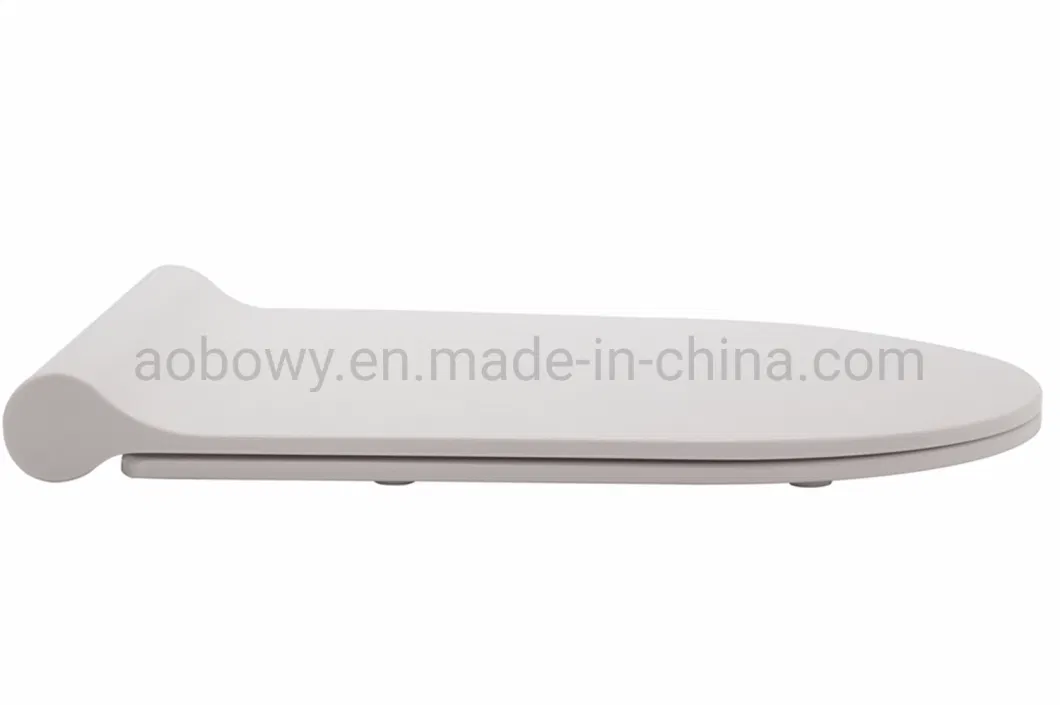 OEM European Market Hot Ceramic Toilet Seat