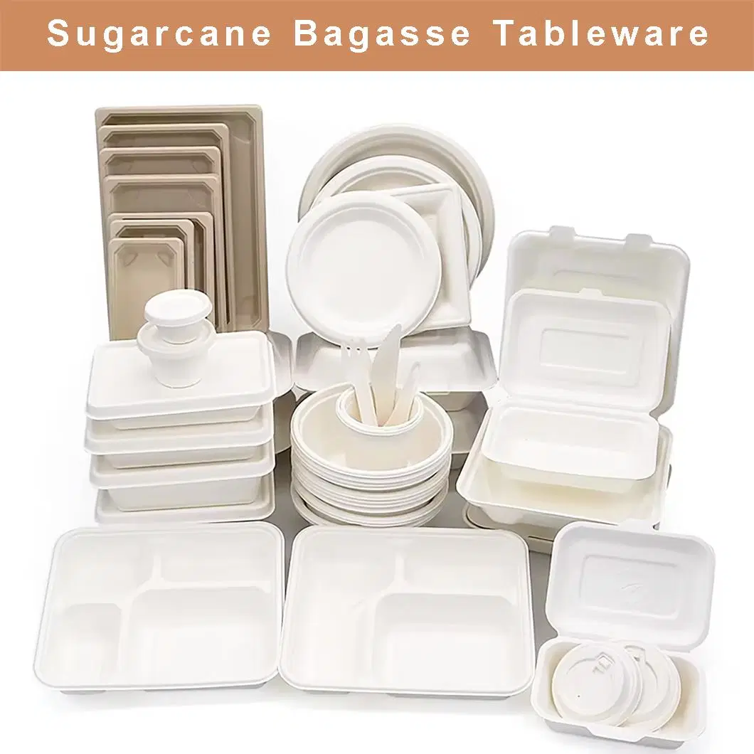 Bagasse Sugarcane Biodegradable 6&prime;&prime; 450ml Burger Box Food Take Away Packaging Container Box