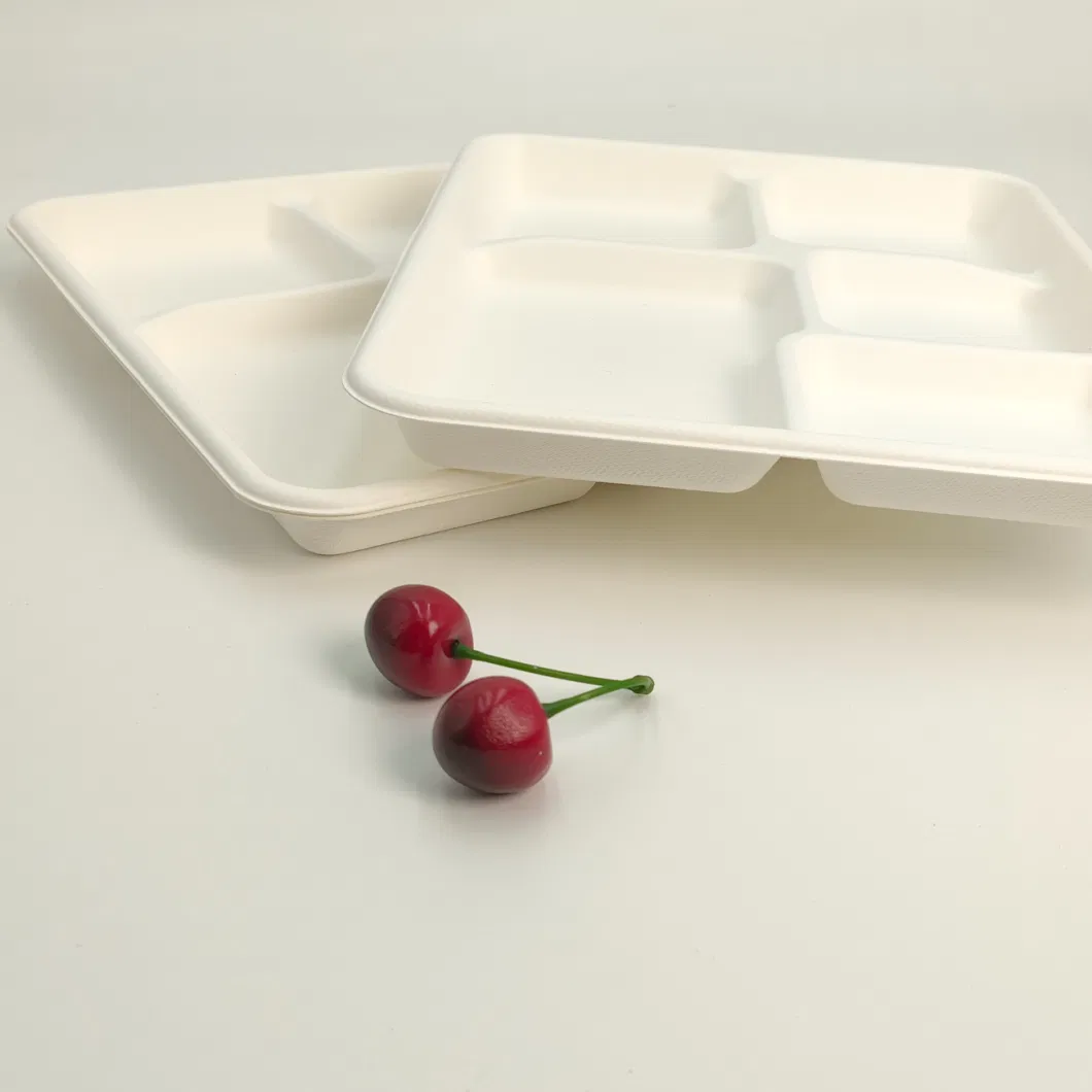 Biodegradable Tableware Disposable Carry-out Compostable Sugarcane Food Container Take Away Lunch Packaging Pulp 3/4/5/6 Compartment Bagasse Box/Tray Box