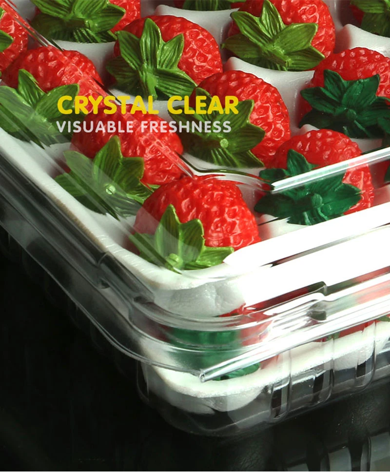 Multi Styles Plastic Boxes Small Clear Plastic Food Container Strawberry Box