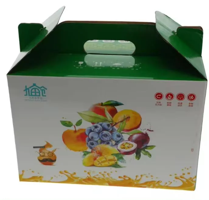 Custom Print Colorful Folding Corrugated Food Packaging Recycled Paper Carton Fruit Gift Box