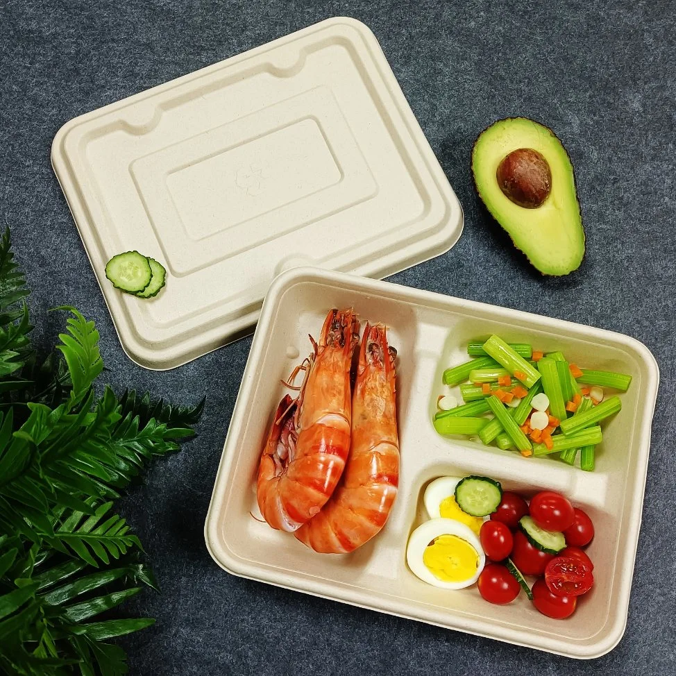 Biodegradable Tableware Disposable Carry-out Compostable Sugarcane Food Container Take Away Lunch Packaging Pulp 3/4/5/6 Compartment Bagasse Box/Tray Box