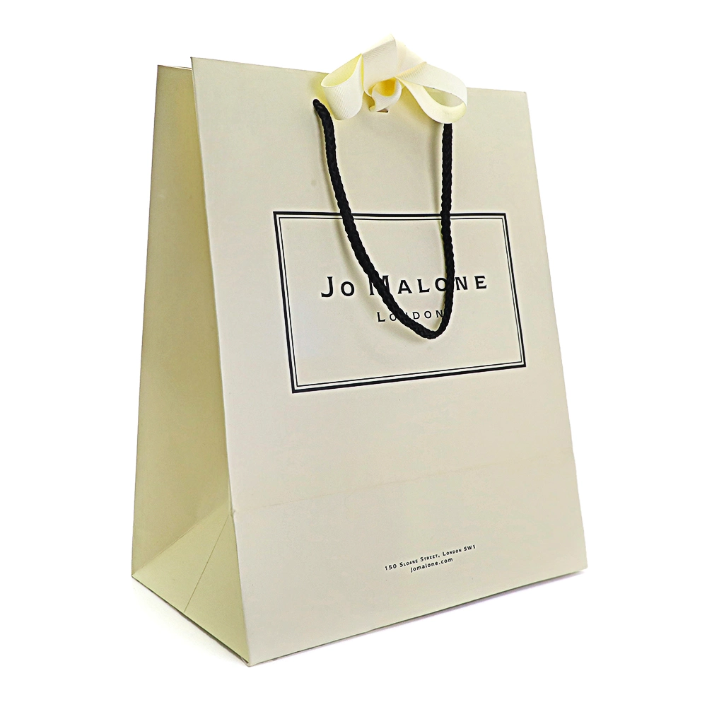 Art Gift Packaging Custom Luxury Cardboard Cosmetic Shopping Bag with Ribbon Handle