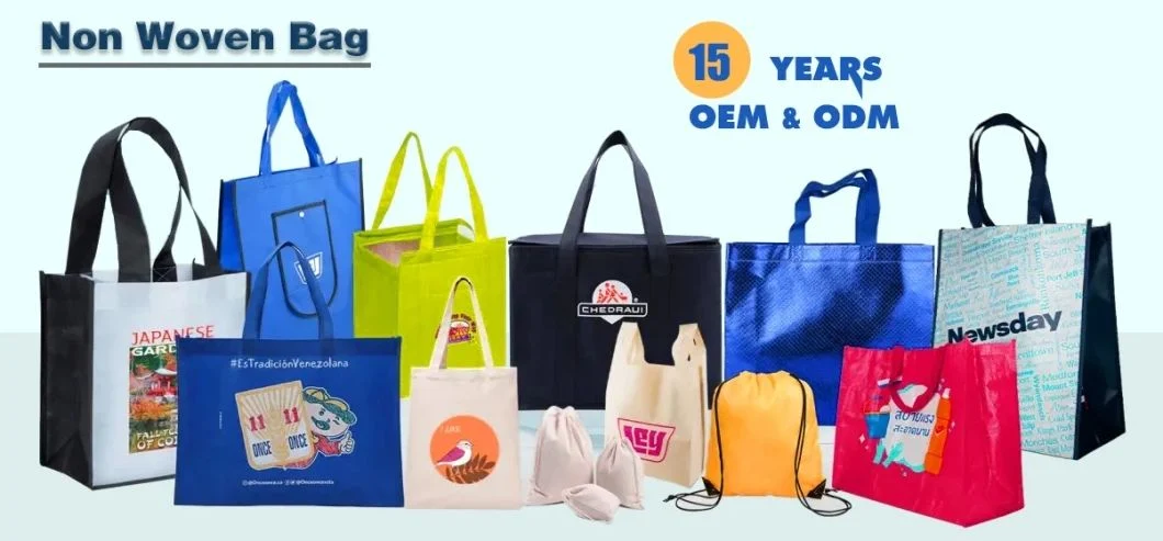 Whole Sale Promotional Reusable Eco PP Non Woven Shopping Bag PP Nonwoven Bag for Sale