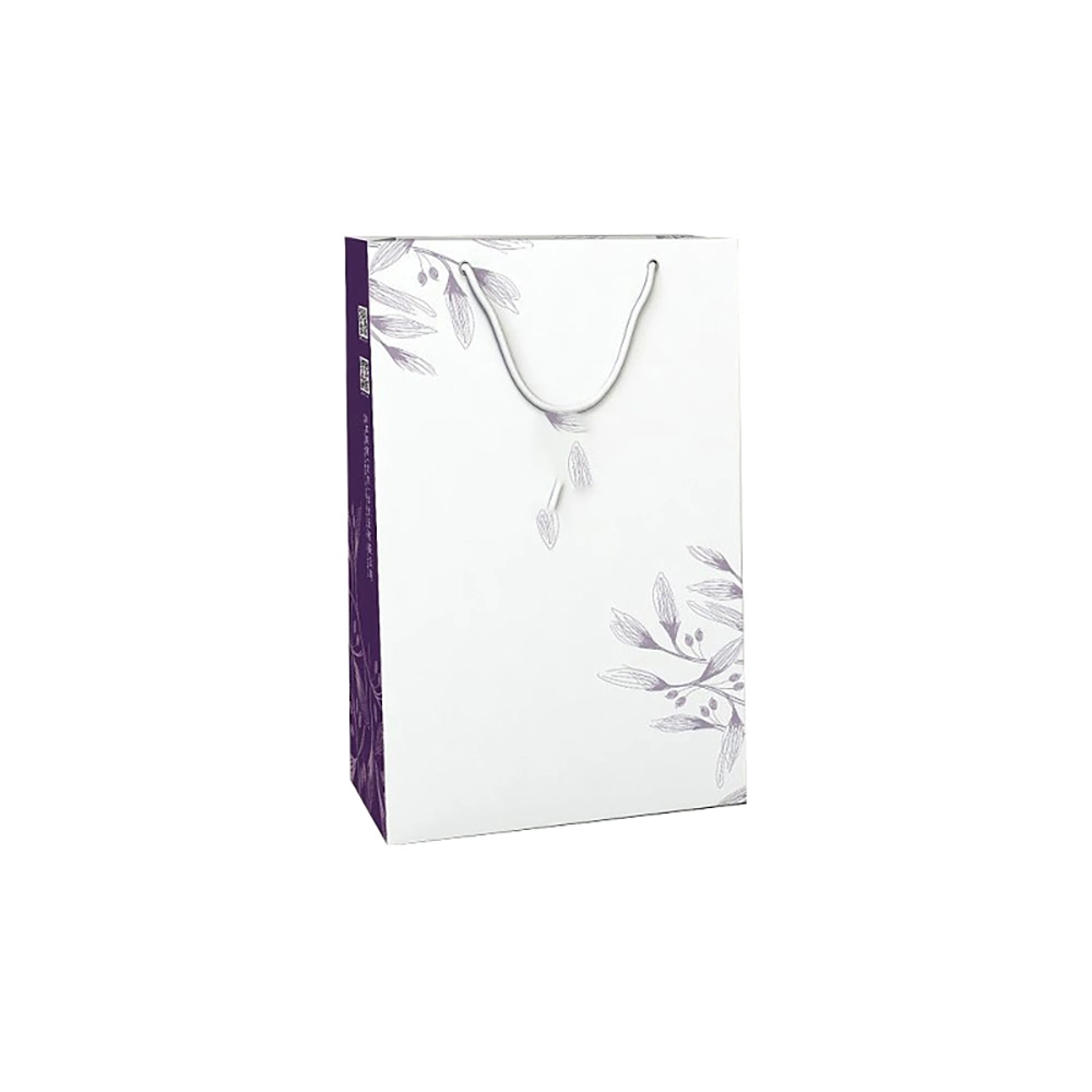 Manufacture Paper Packaging Jewelry Carrier Handbags Printed Shopping Packing Gift Bag