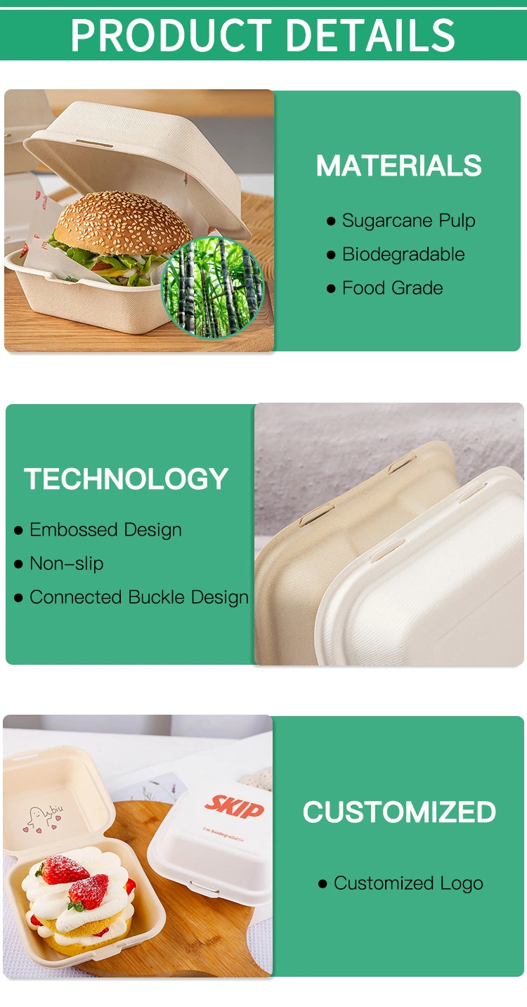 Biodegradable Takeaway Take Away Pizza Hamburger Burger Bento Meal Fast Food Packing Pulp Sugarcane Bagasse Lunch Paper Box