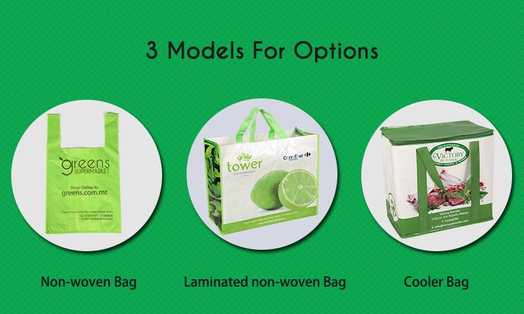 Supermarket Shopping Bags Non Woven Bag for Sale