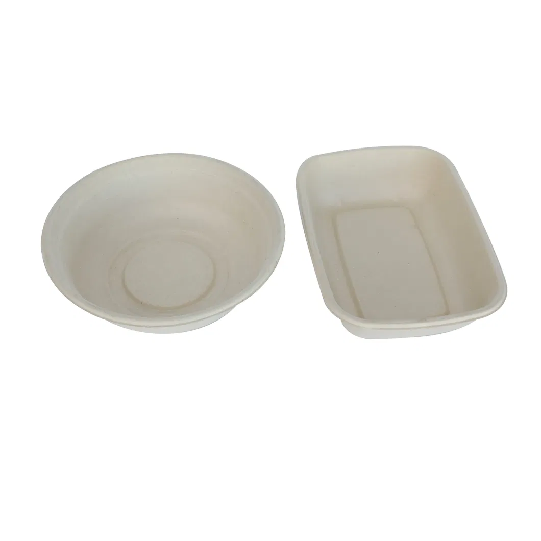 FSC Certificate Bagasse Pulp Biodegradable Clamshell Paper Lunch Takeaway Food Packaging Containers