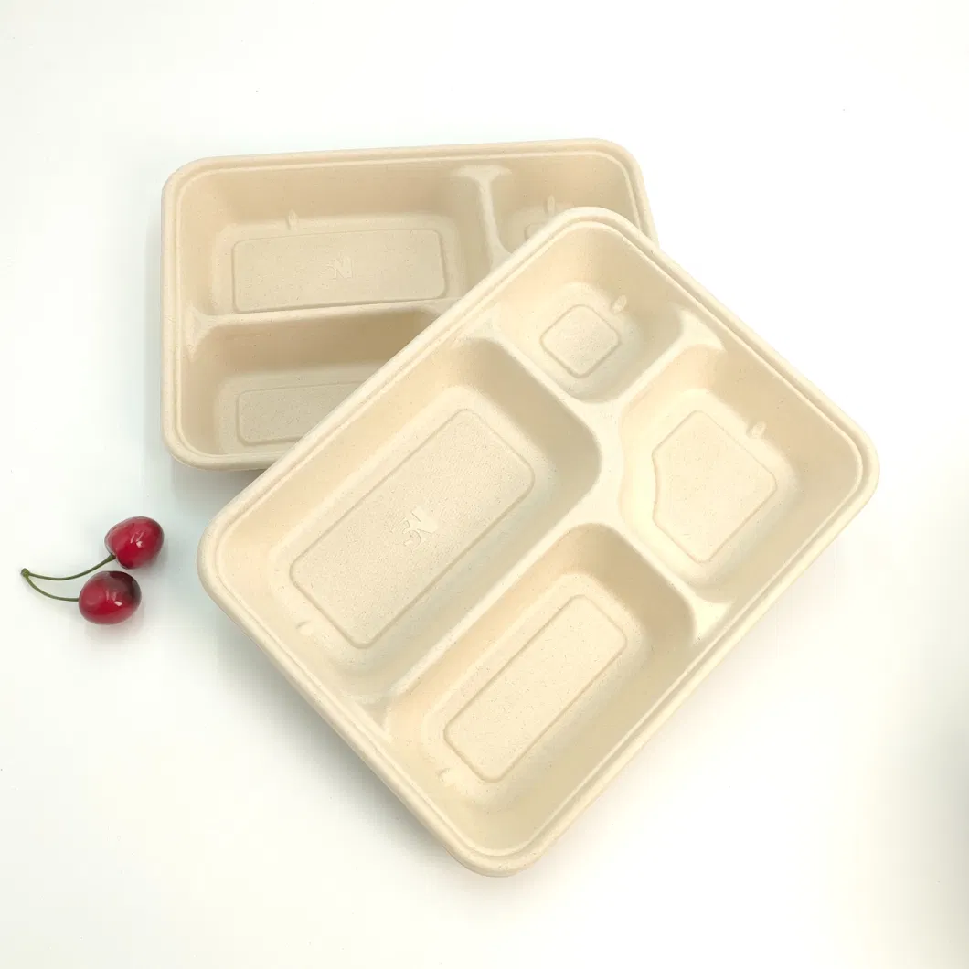 Biodegradable Tableware Disposable Carry-out Compostable Sugarcane Food Container Take Away Lunch Packaging Pulp 3/4/5/6 Compartment Bagasse Box/Tray Box