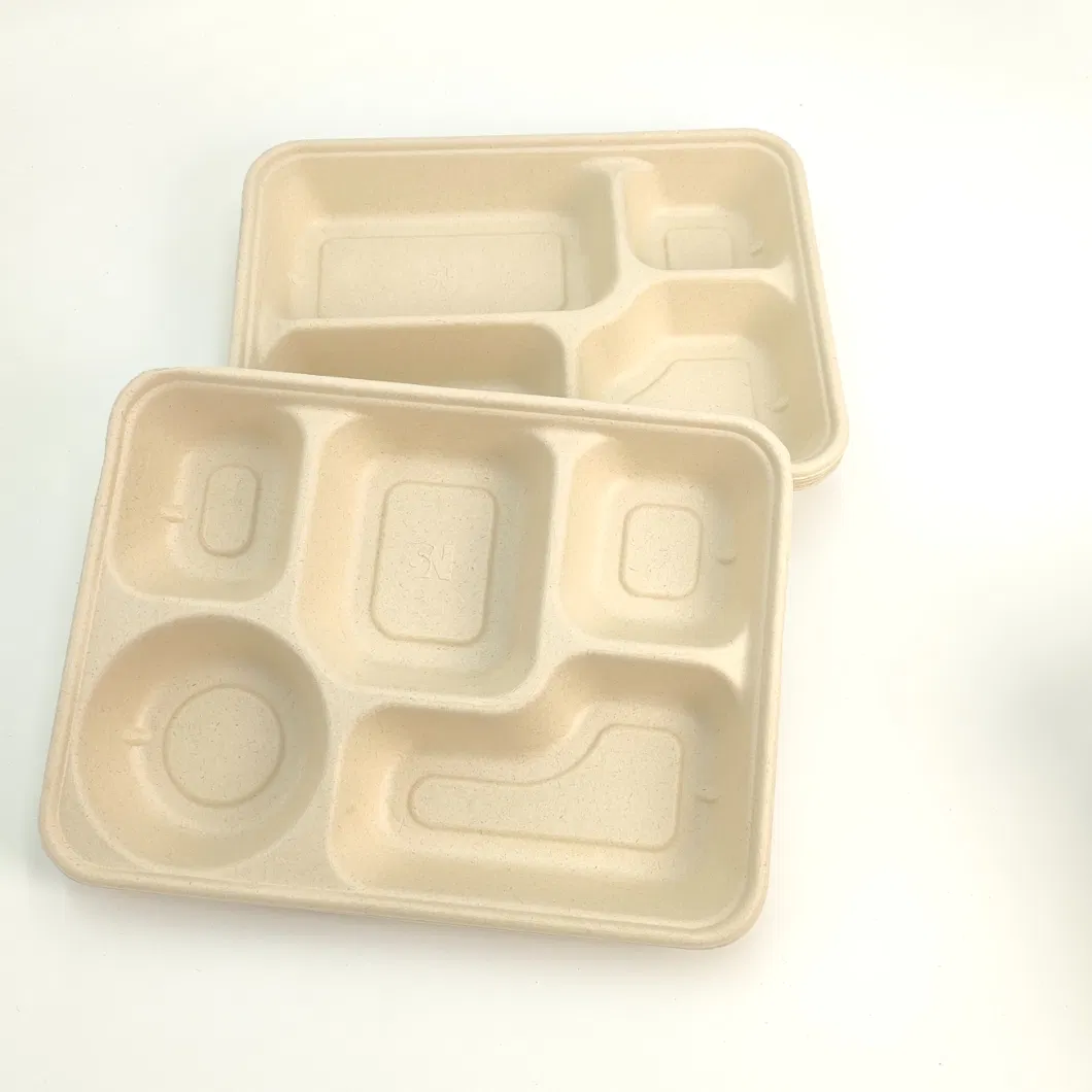 Biodegradable Tableware Disposable Carry-out Compostable Sugarcane Food Container Take Away Lunch Packaging Pulp 3/4/5/6 Compartment Bagasse Box/Tray Box