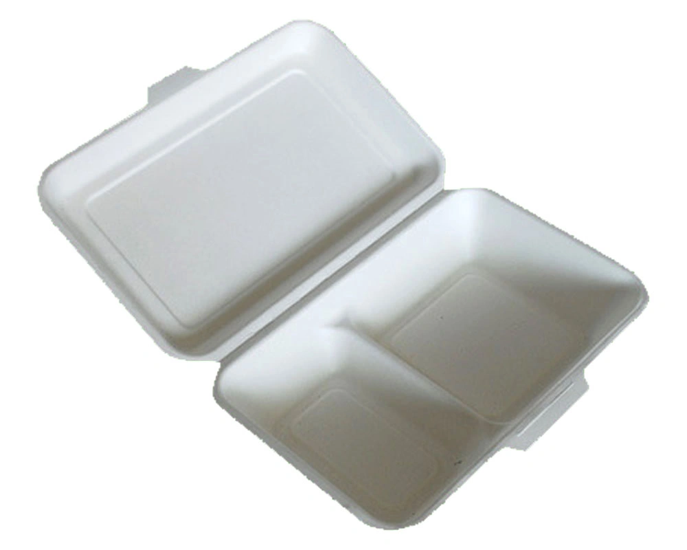 FSC Certificate Bagasse Pulp Biodegradable Clamshell Paper Lunch Takeaway Food Packaging Containers