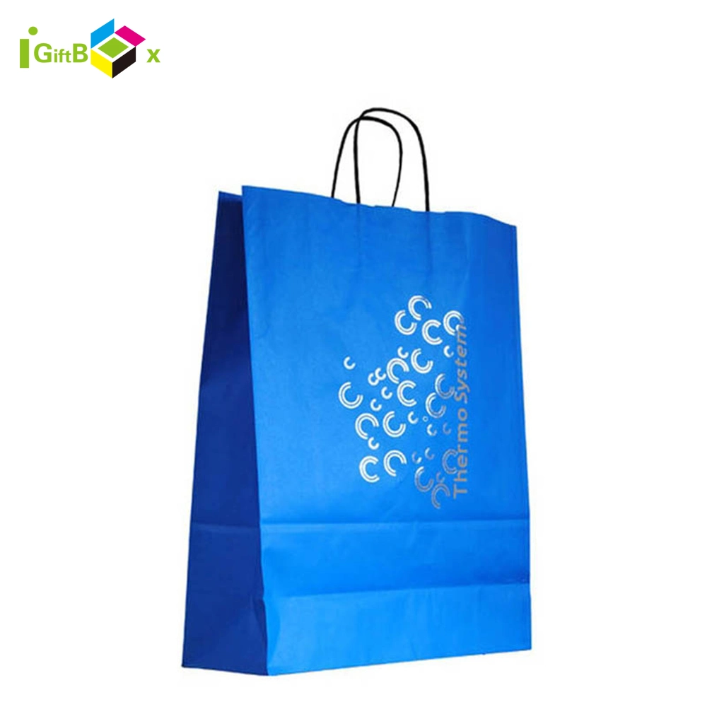 Custom Design Jewelry Gift Paper Bag with Logo