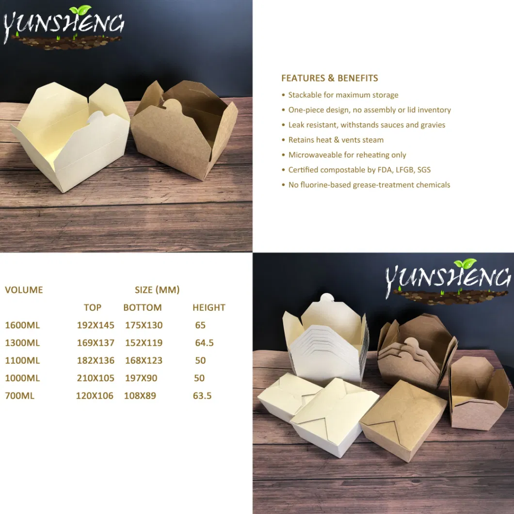 Disposable Food Container Packaging Box Biodegradable Paper/Packing/Storage/Packaging/Lunch Box Sugarcane Bagase 850ml 1000ml