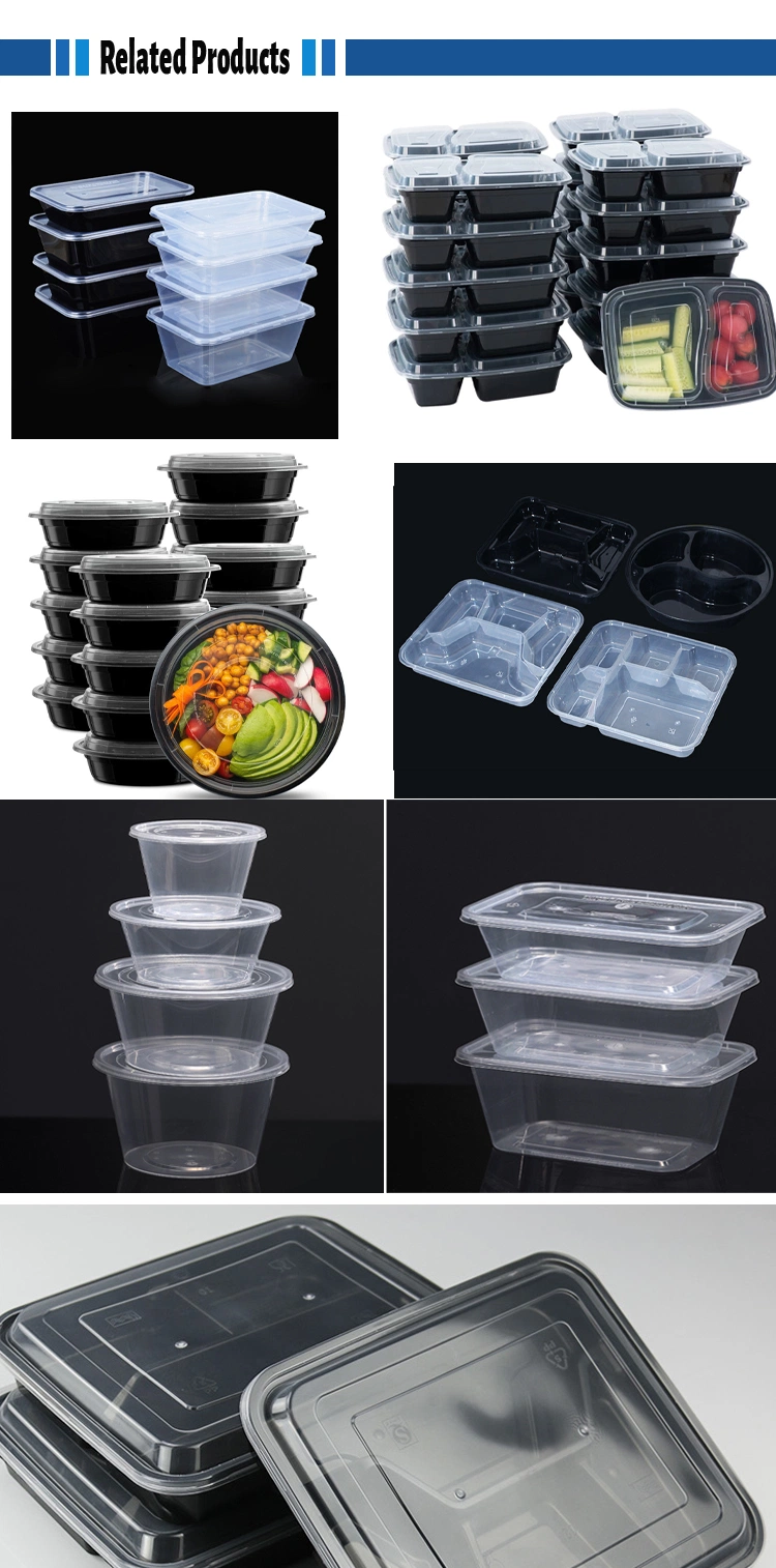 Disposable Container Transparent Take Away PP Plastic Lunch Box for Lid