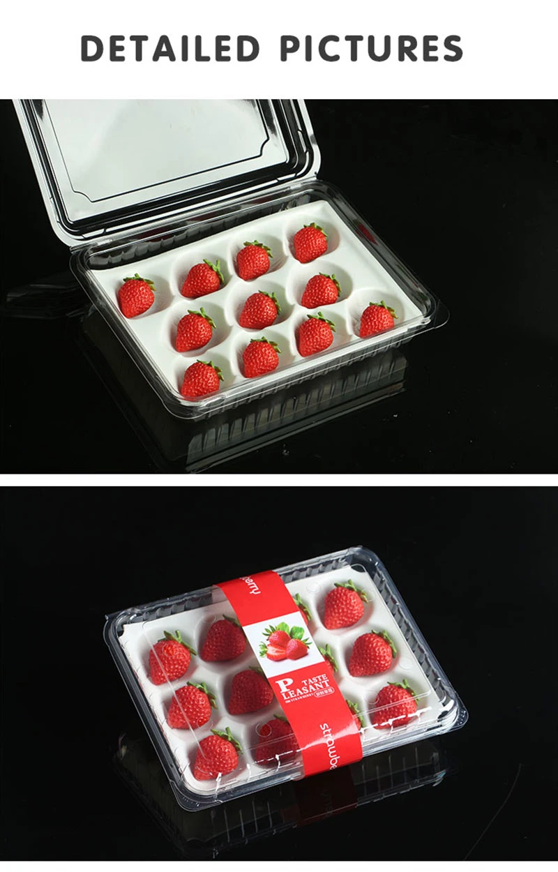 Multi Styles Plastic Boxes Small Clear Plastic Food Container Strawberry Box