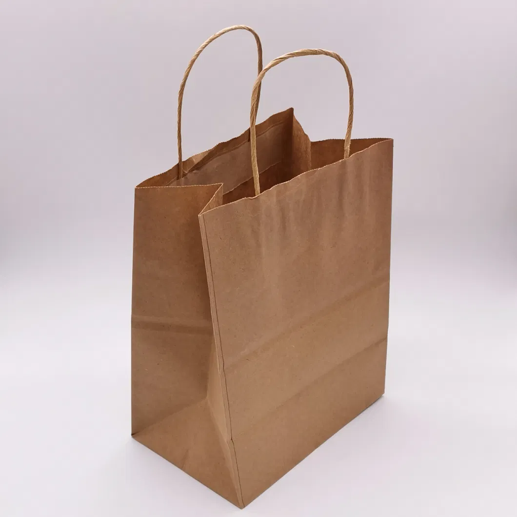 Custom Printed Jewelry Shopping Bag Luxury Gift Paper Bag with Rope Handle