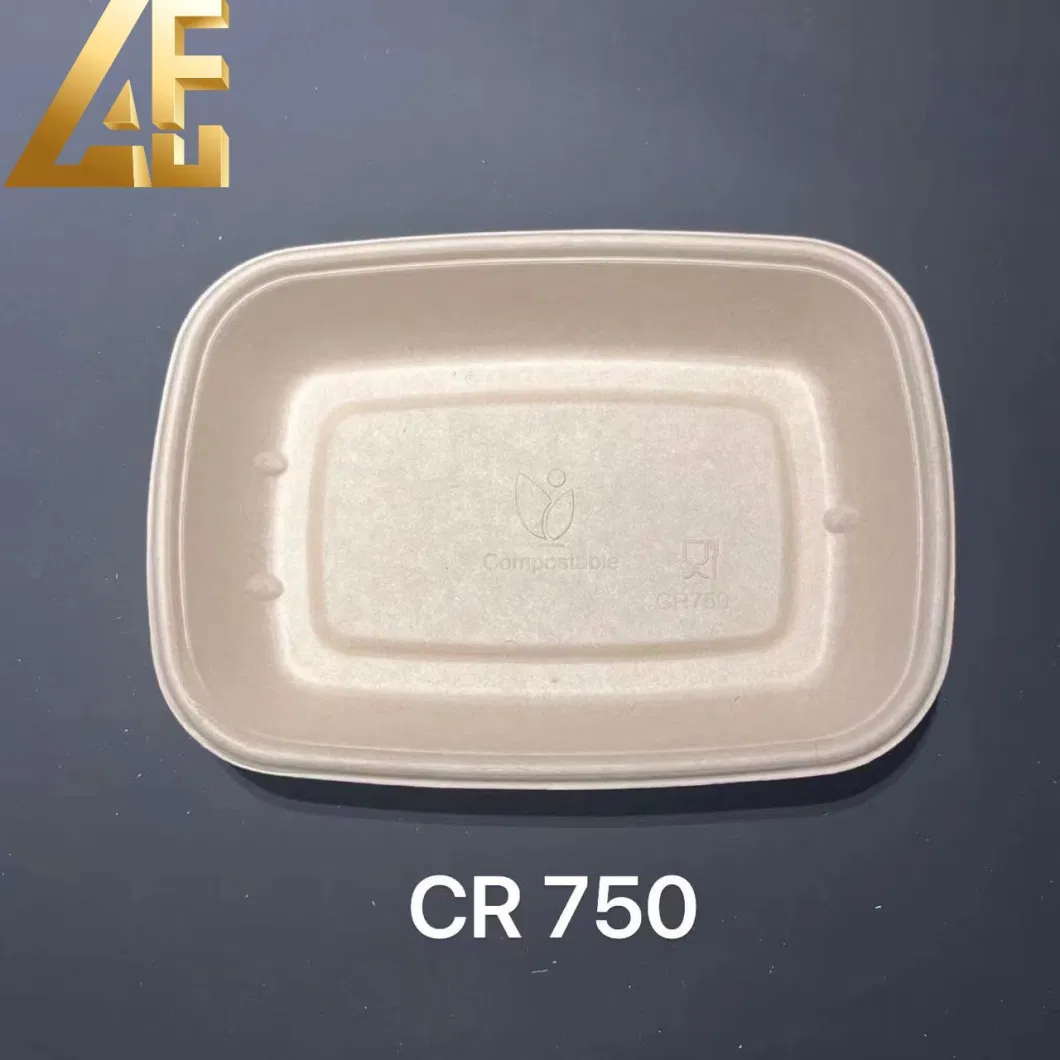 Biodegradable Disposable Takeaway Tableware Dinnerware Compostable Sugarcane Bagasse Pulp Paper Tray to Go Packaging Food Container Lunch Clamshell Box