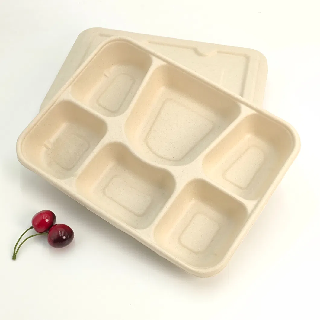 Biodegradable Tableware Disposable Carry-out Compostable Sugarcane Food Container Take Away Lunch Packaging Pulp 3/4/5/6 Compartment Bagasse Box/Tray Box