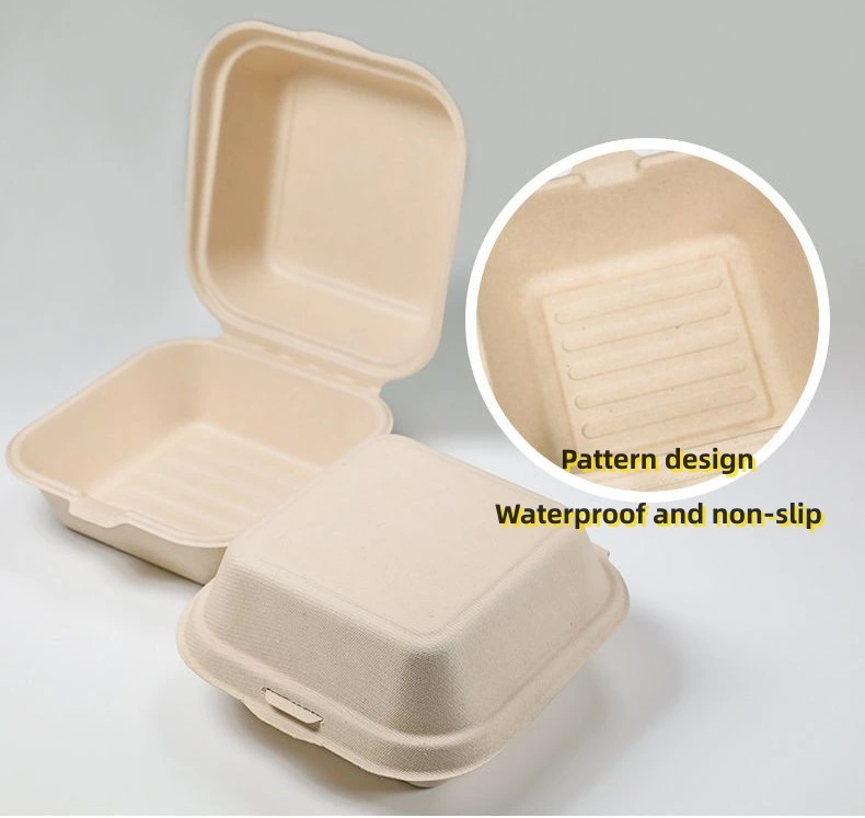 Degradable Paper Pulp Meal Boxes Salad Burger Fruit and Vegetable Cake Meal Box