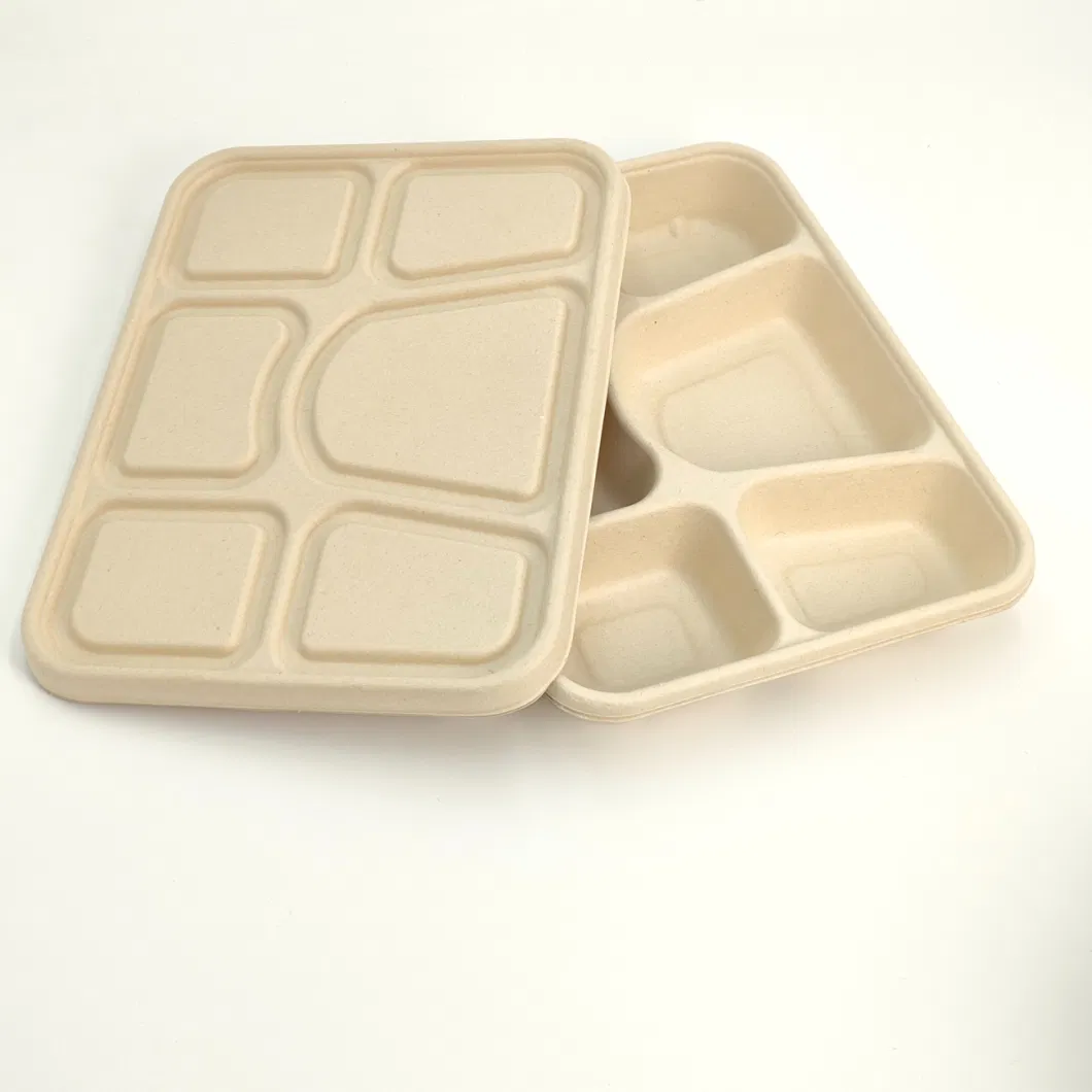 Biodegradable Tableware Disposable Carry-out Compostable Sugarcane Food Container Take Away Lunch Packaging Pulp 3/4/5/6 Compartment Bagasse Box/Tray Box