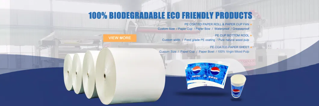 Eco Friendly Packaging Jumbo Roll Paper PE Coated Paper Roll White