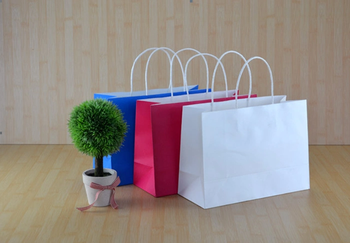 Color Kraft Paper Gift Bag with Twisted Handle