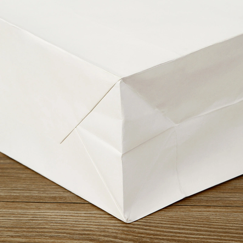 Heavy Duty Blank White Kraft Handle Paper Gift Bags