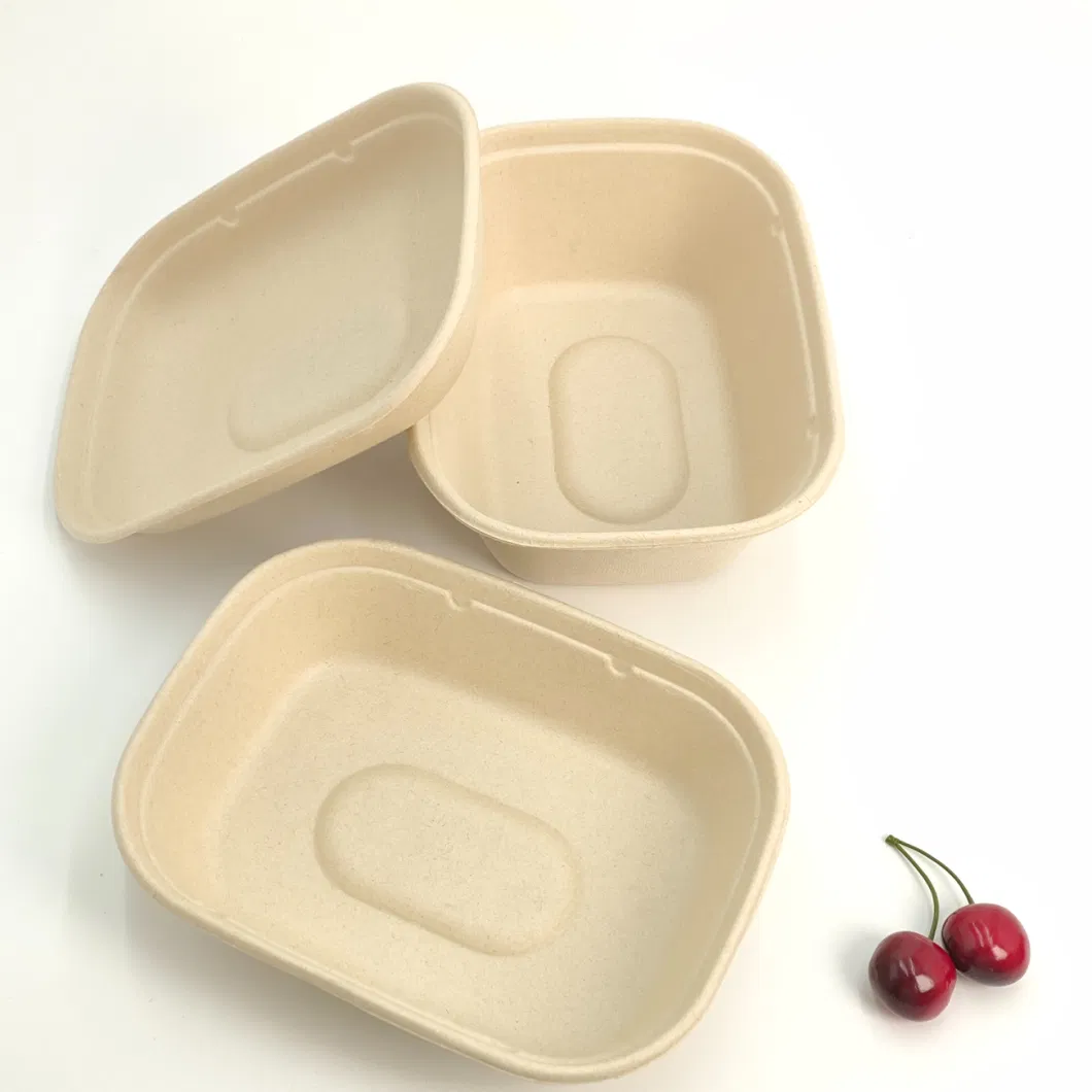 Biodegradable Disposable Takeaway Tableware Dinnerware Compostable Sugarcane Bagasse Pulp Paper Tray to Go Packaging Food Container Lunch Clamshell Box