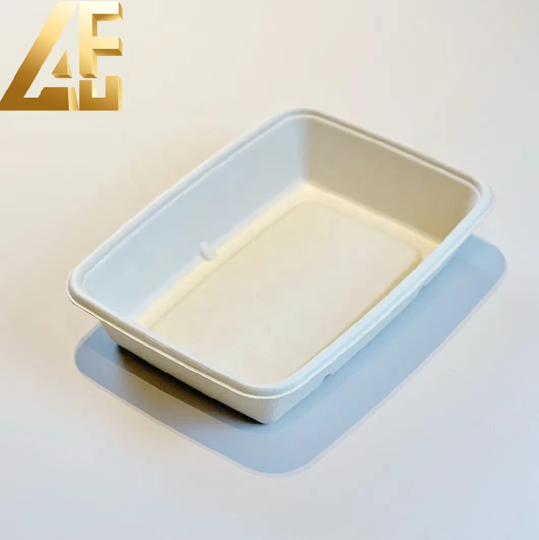 Biodegradable Disposable Takeaway Tableware Dinnerware Compostable Sugarcane Bagasse Pulp Paper Tray to Go Packaging Food Container Lunch Clamshell Box