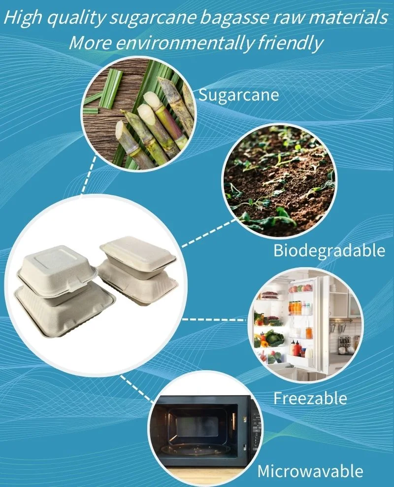 Biodegradable Disposable No Added Pfas 3 Compartment Meal Prep Containers Bagasse Sugarcane Takeaway Food Packaging Box