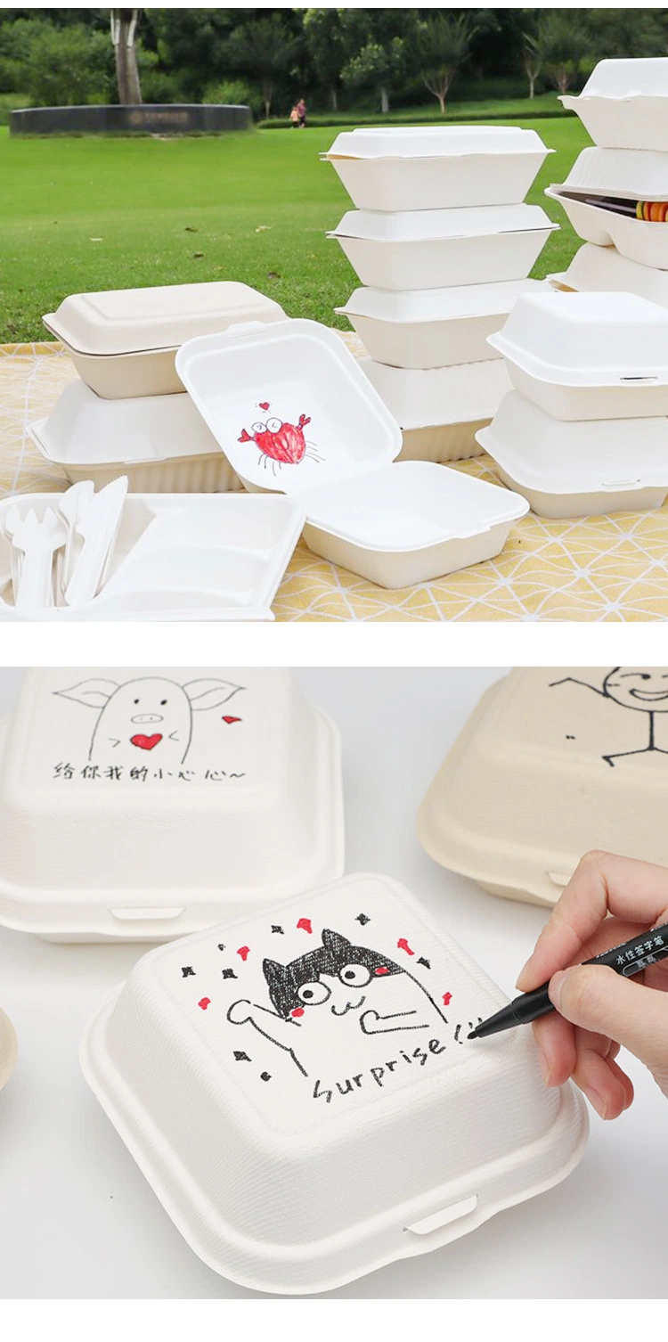 Biodegradable Takeaway Take Away Pizza Hamburger Burger Bento Meal Fast Food Packing Pulp Sugarcane Bagasse Lunch Paper Box