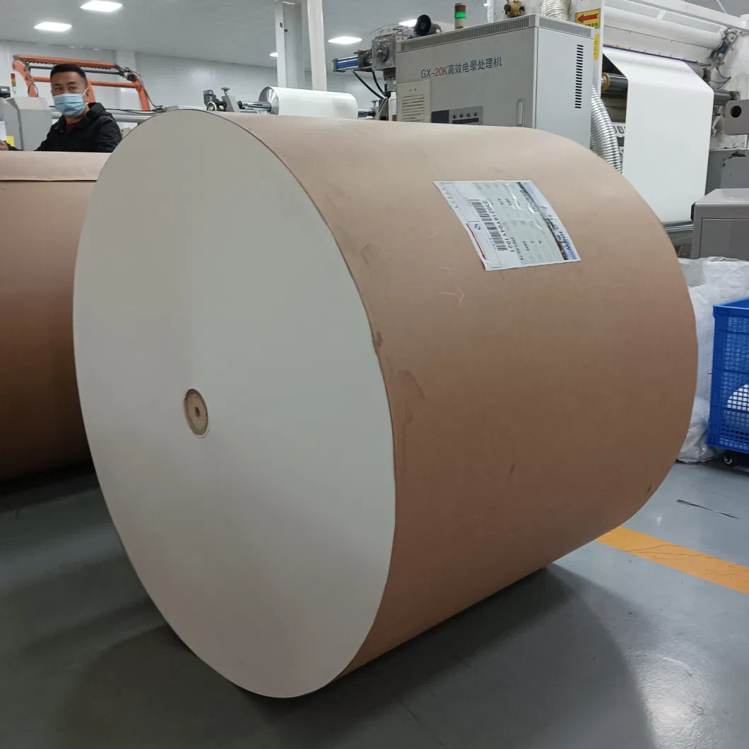 Eco Friendly Packaging Jumbo Roll Paper PE Coated Paper Roll White