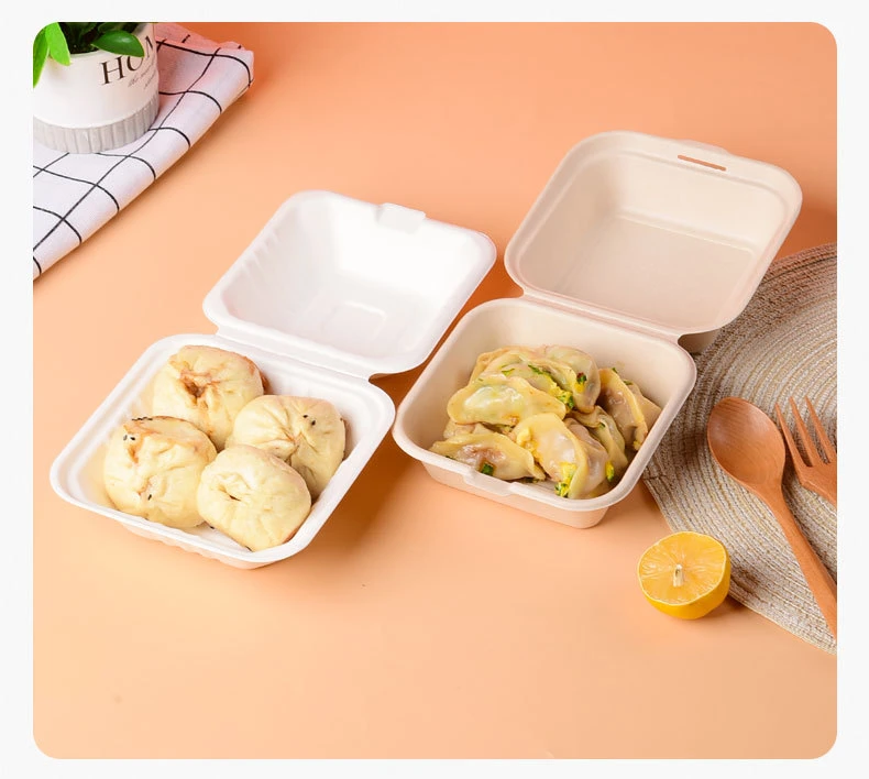 Dumpling Bread Box Plastic to Go Lunch Box Food Container Chip Burger Box