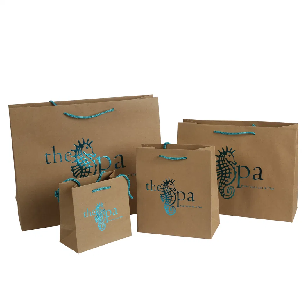 Paper Bag Custom Logo Print Wholesale Grocery R Gift Bag with Handle Item Industrial Surface Packaging