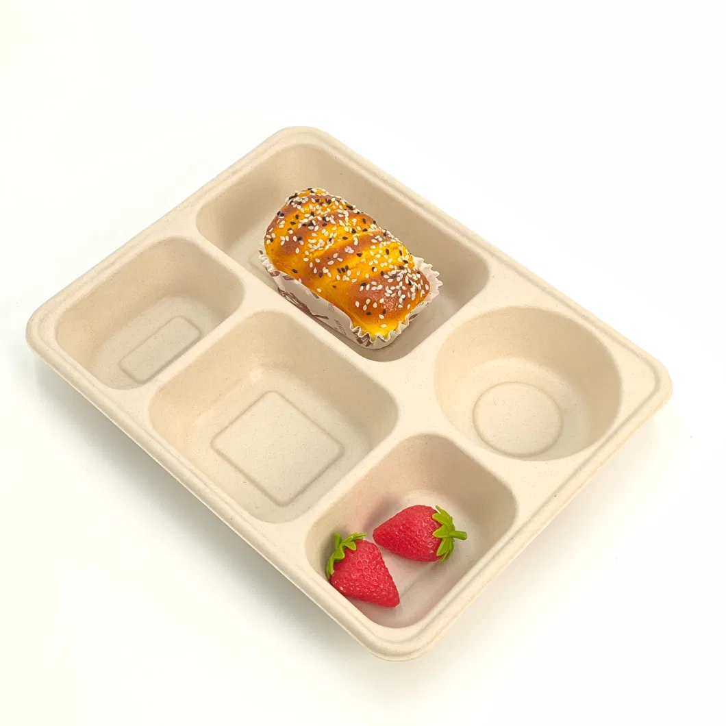 Biodegradable Tableware Disposable Carry-out Compostable Sugarcane Food Container Take Away Lunch Packaging Pulp 3/4/5/6 Compartment Bagasse Box/Tray Box