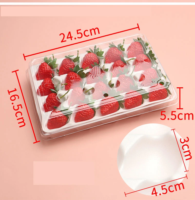 Multi Styles Plastic Boxes Small Clear Plastic Food Container Strawberry Box