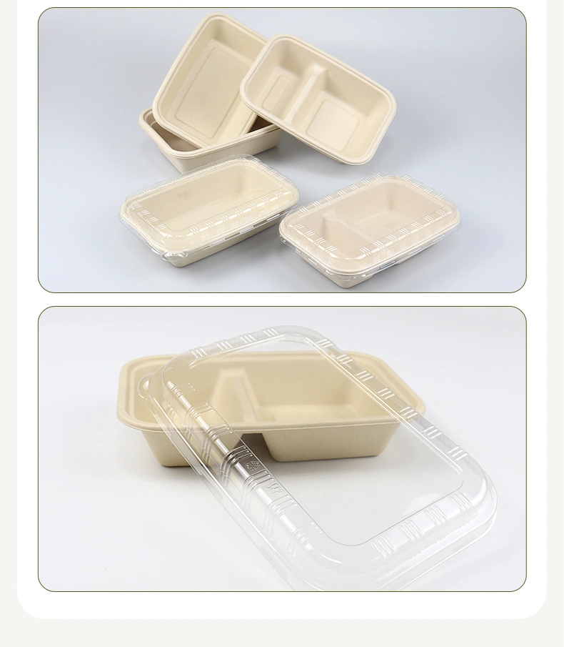 Compartment Box Sugarcane Bagasse Microwave Paper Bento Takeaway Lunch Containers Disposable Lunch Boxes Food Container