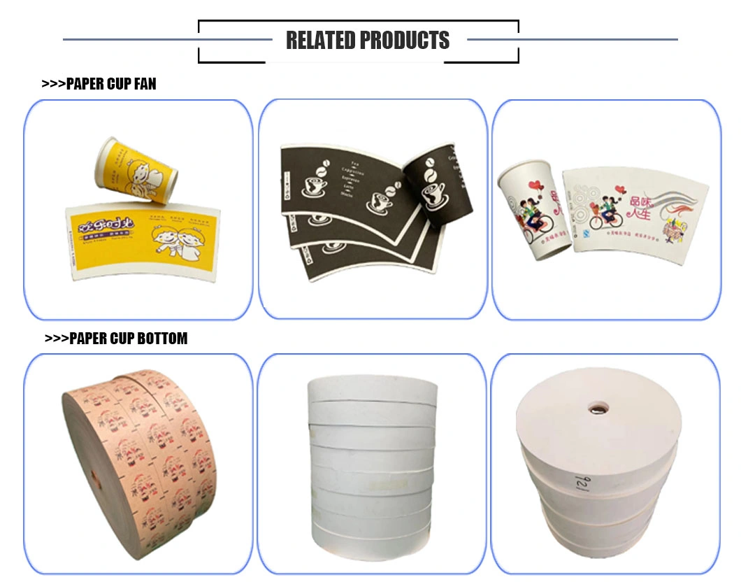 210GSM Biodegradable Food Grade PE Coated Paper Roll for Paper Cup