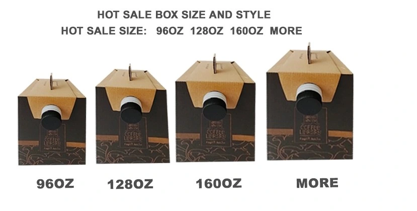 China Eco-Friendly Cheap Disposable Paper Coffee Box Dispenser 2.5L Coffee to Go Beverage Bag in Box