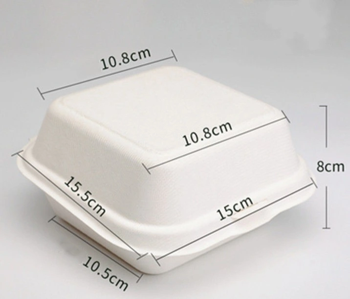 Degradable Paper Pulp Meal Boxes Salad Burger Fruit and Vegetable Cake Meal Box