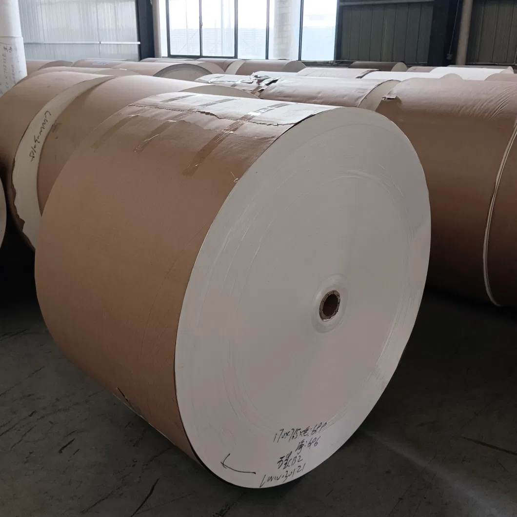 210GSM Biodegradable Food Grade PE Coated Paper Roll for Paper Cup