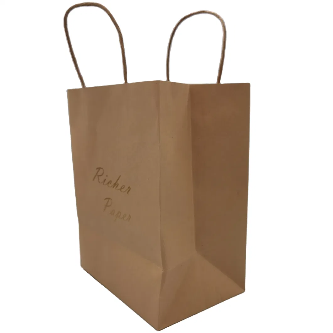 Boutique Luxury Retail Accept Customised Your Logo Gift Small Carry Paper Shopping Bags with Bow Tie Ribbon Handle