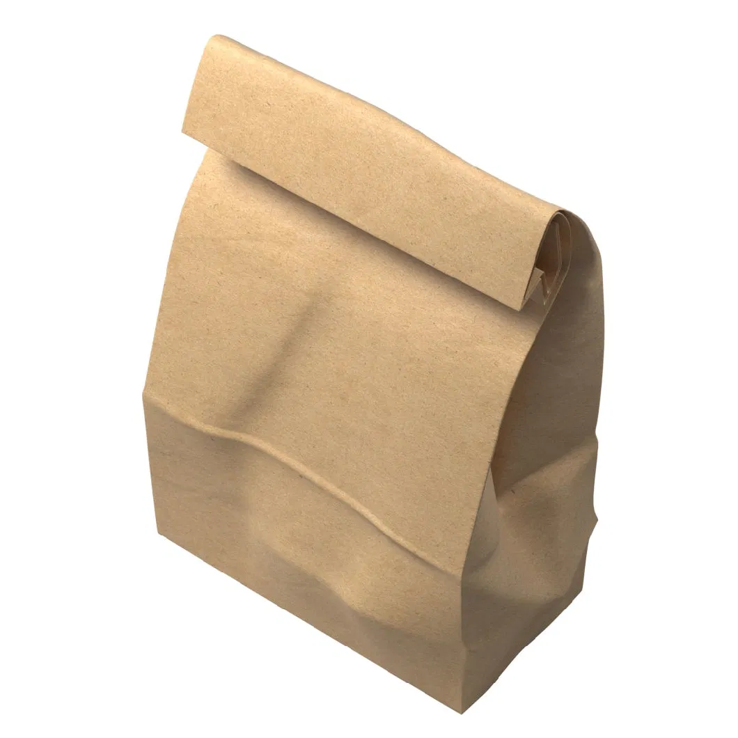 Wholesale Custom Size and Color Package Food Grade Take Away Resealable Brown Kraft Handle Paper Packaging Bags Popular Bread Cake Hamburger Hot Dog Bag