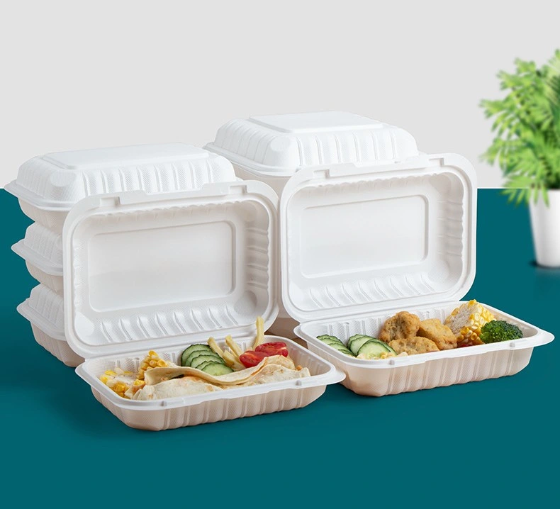 OEM High Quality Food Box for Burger and Salad