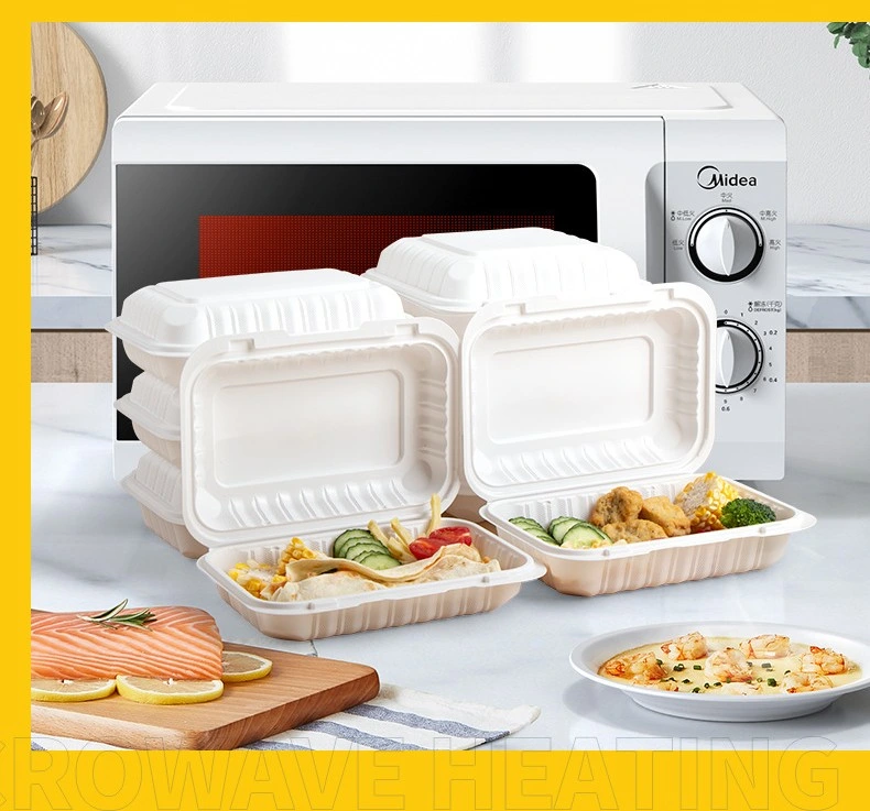 OEM High Quality Food Box for Burger and Salad