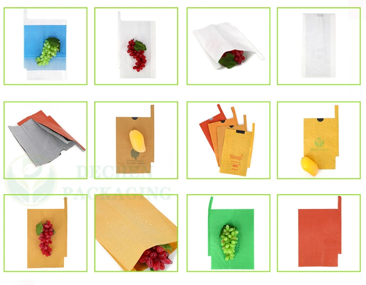 Grapefruit Dragon Orange Custard Apple Pear Peach Pomegranate Grape Banana Growth Guava Protective Paper Bag Cover Mango Fruit Protection Bags