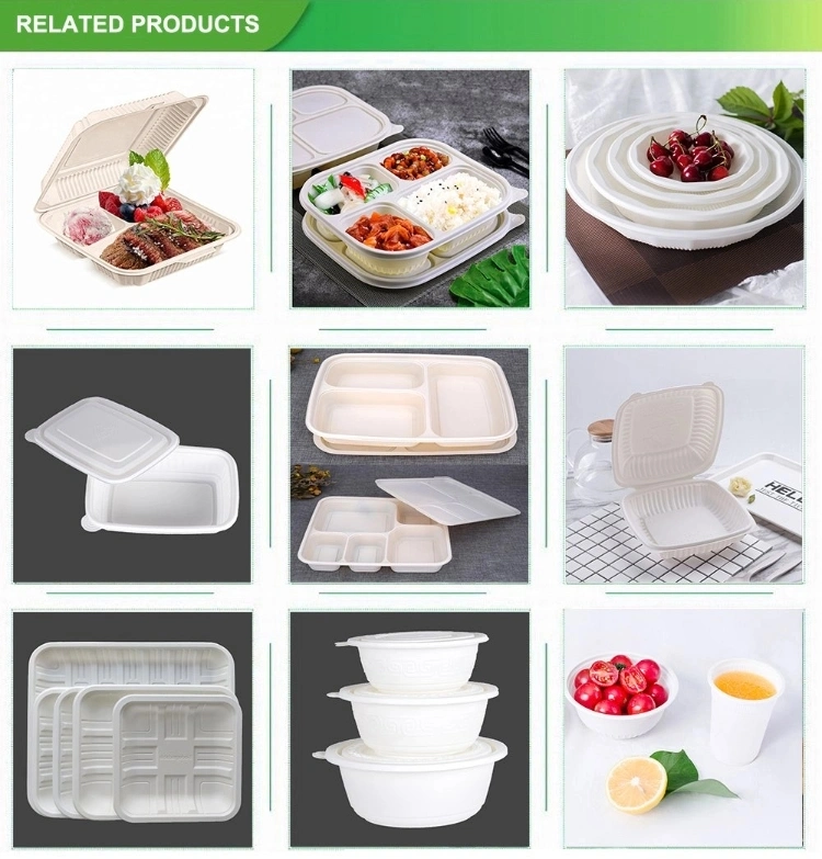 Biodegradable Disposable Takeaway Food Container Bagasse Paper Food Box Fruit and Vegetable Takeaway Container